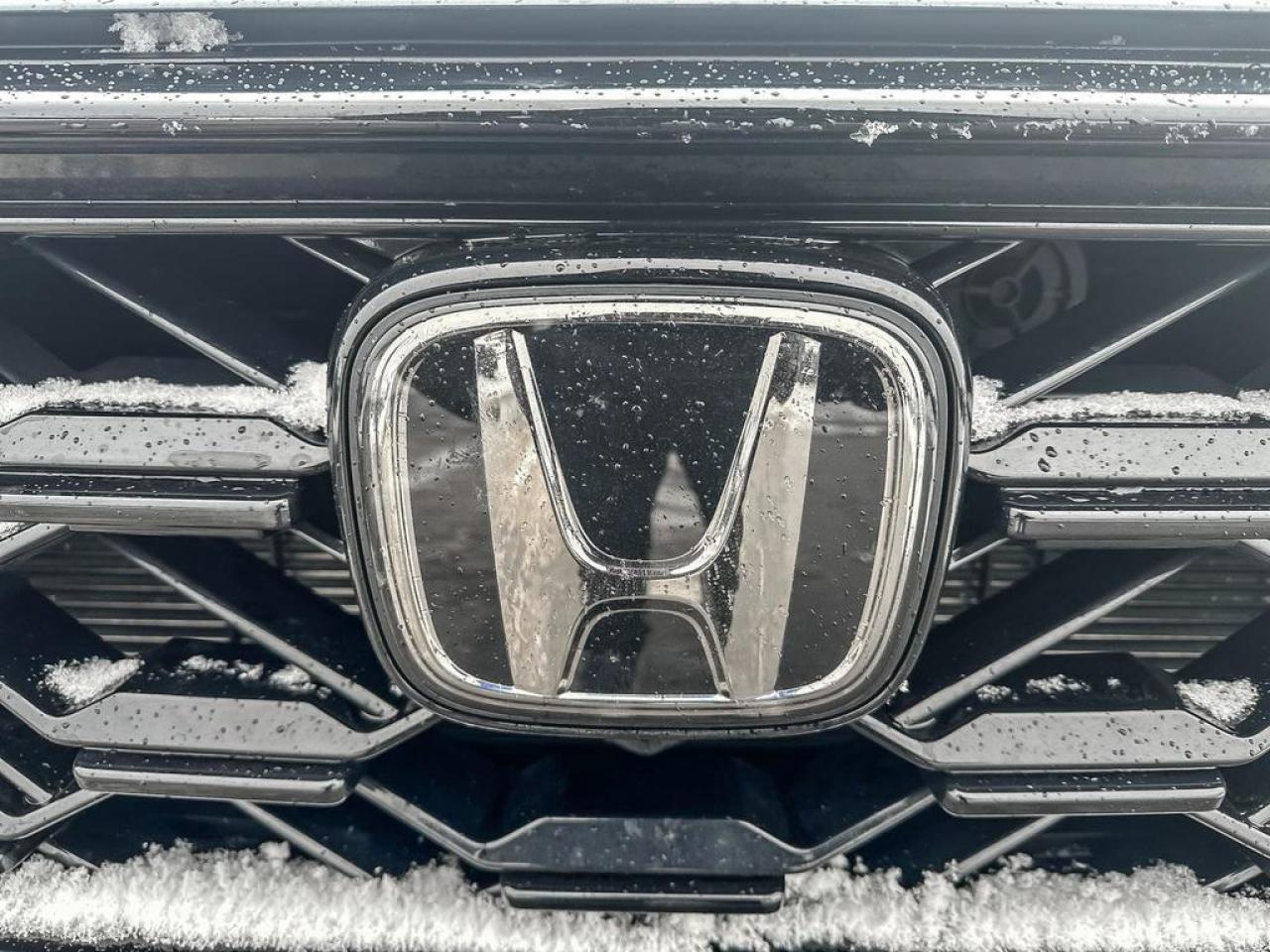 2024 Honda CR-V Hybrid EX-L Photo