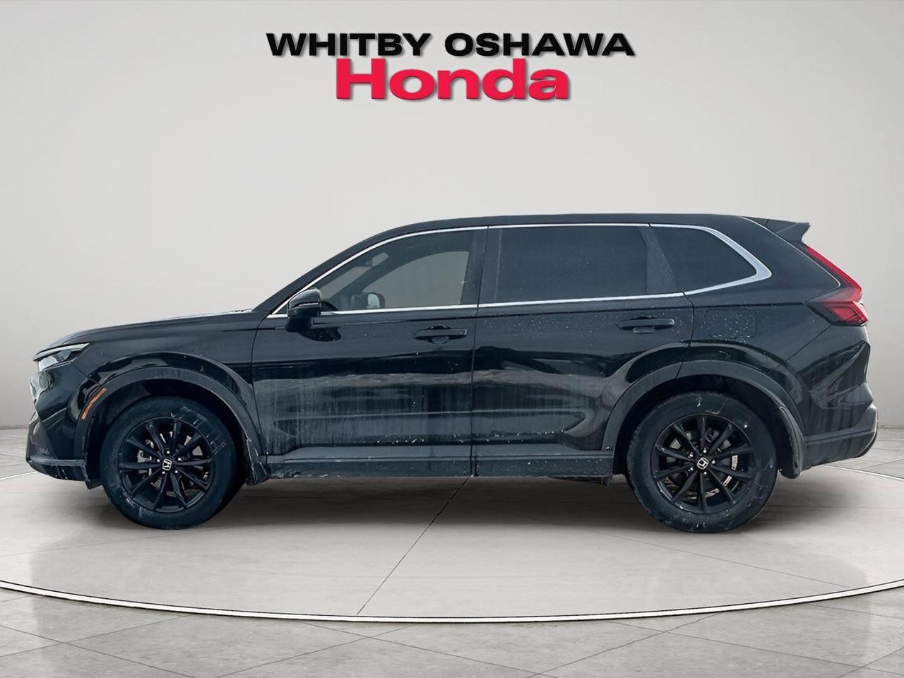 2024 Honda CR-V Hybrid EX-L Photo