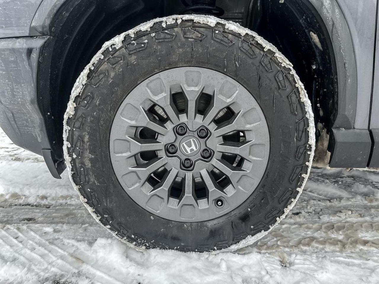 2026 Honda Passport TRAILSPORT Photo