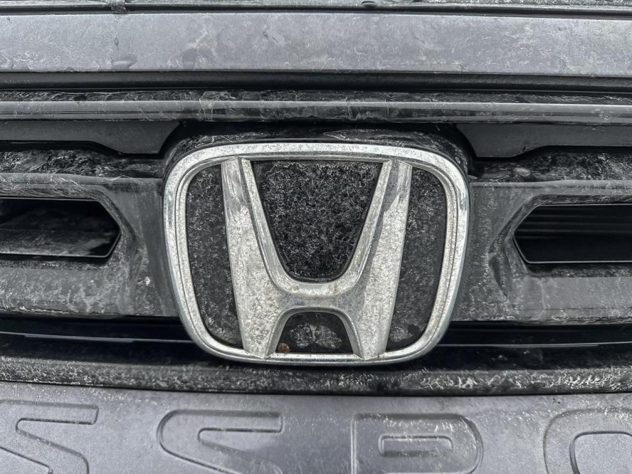 2026 Honda Passport TRAILSPORT Photo