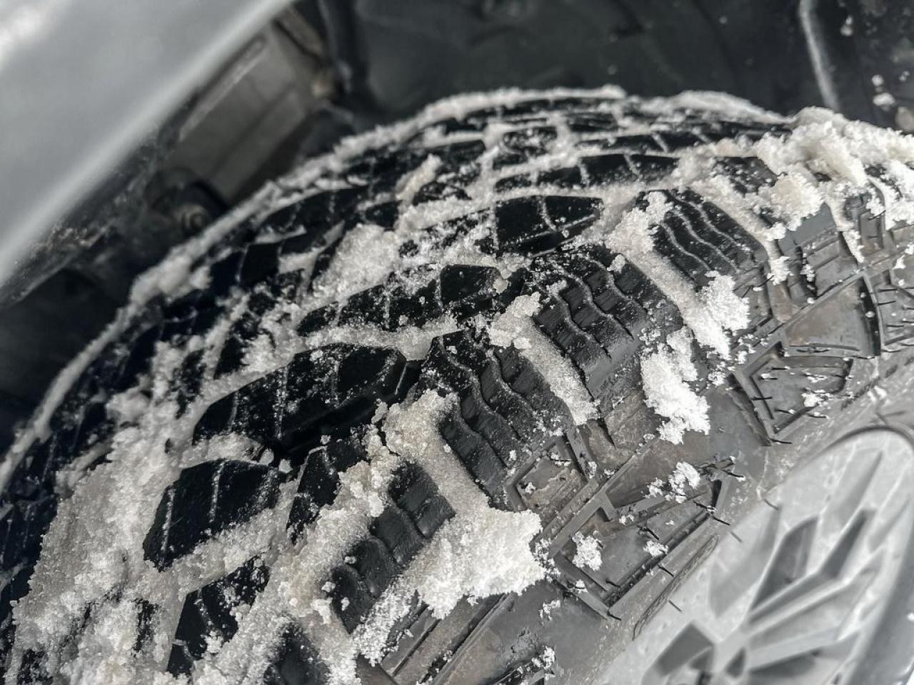 2026 Honda Passport TRAILSPORT Photo