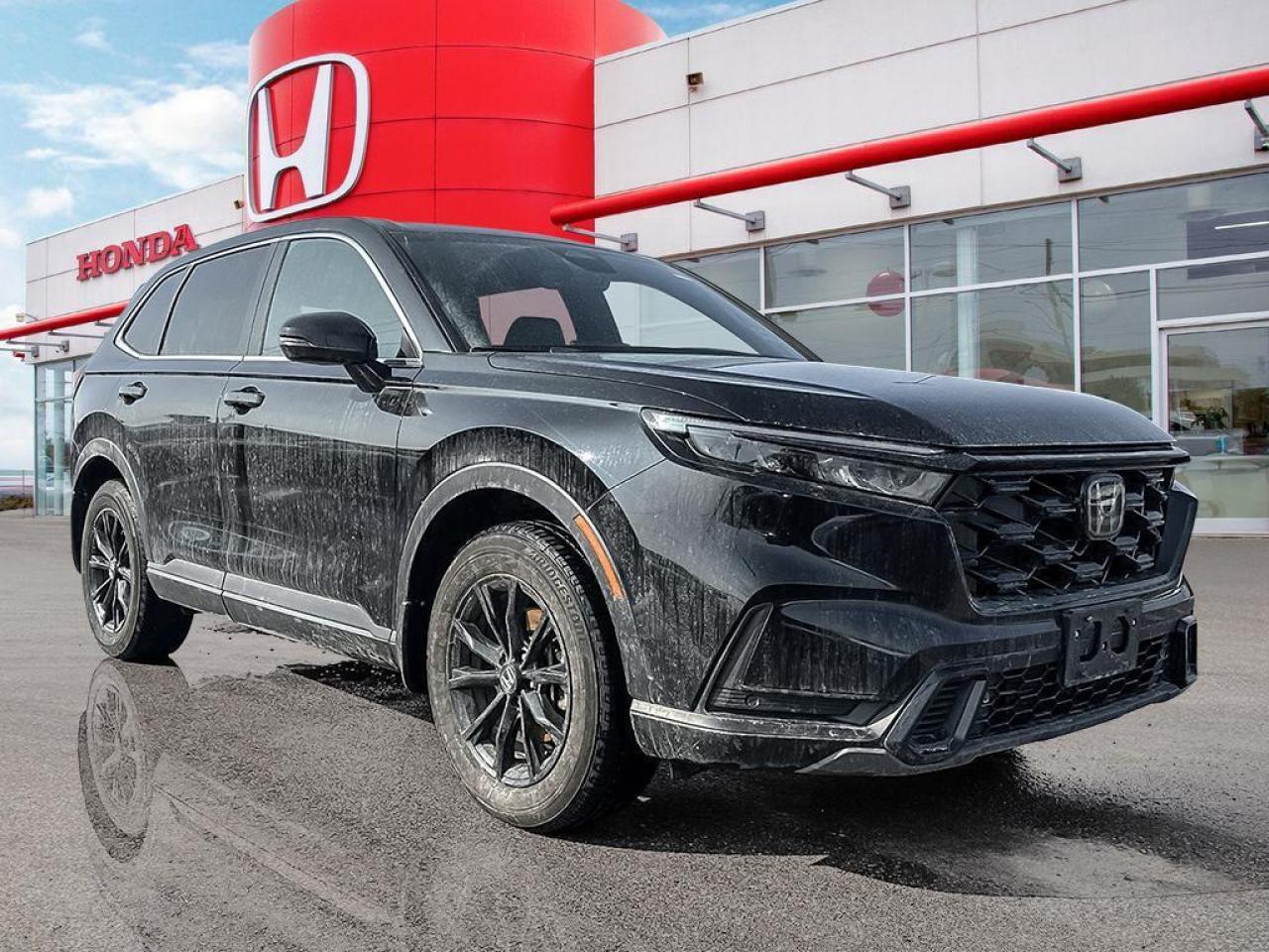 2024 Honda CR-V Hybrid EX-L Photo