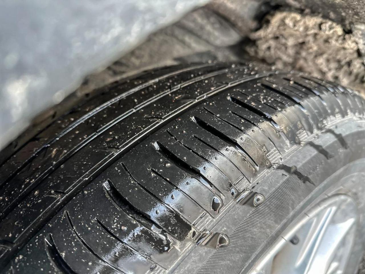 2024 Honda CR-V EX-L Photo