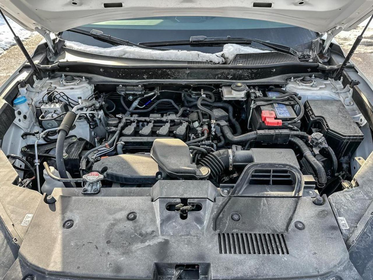 2024 Honda CR-V EX-L Photo