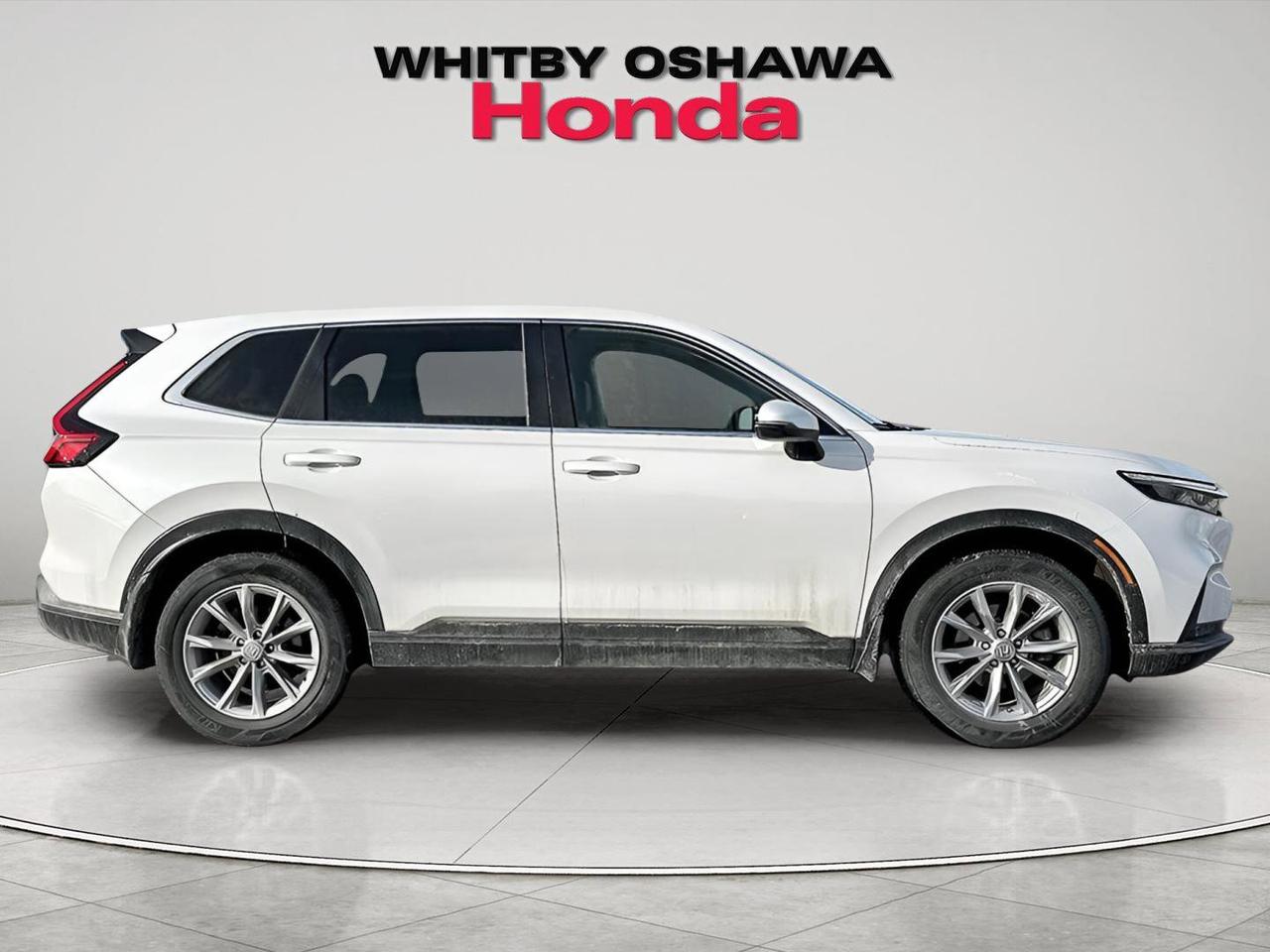 2024 Honda CR-V EX-L Photo
