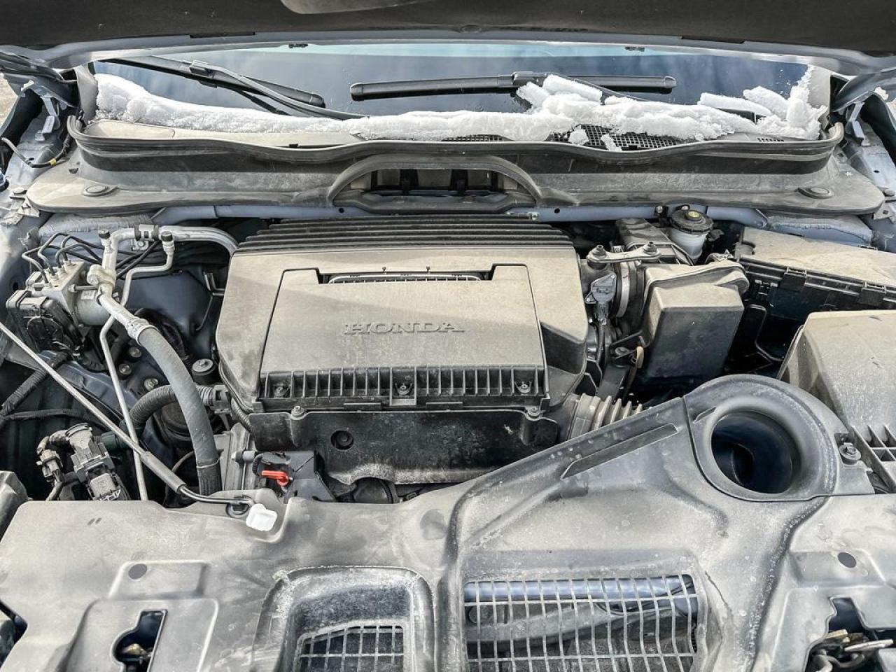 2025 Honda Pilot TrailSport Photo