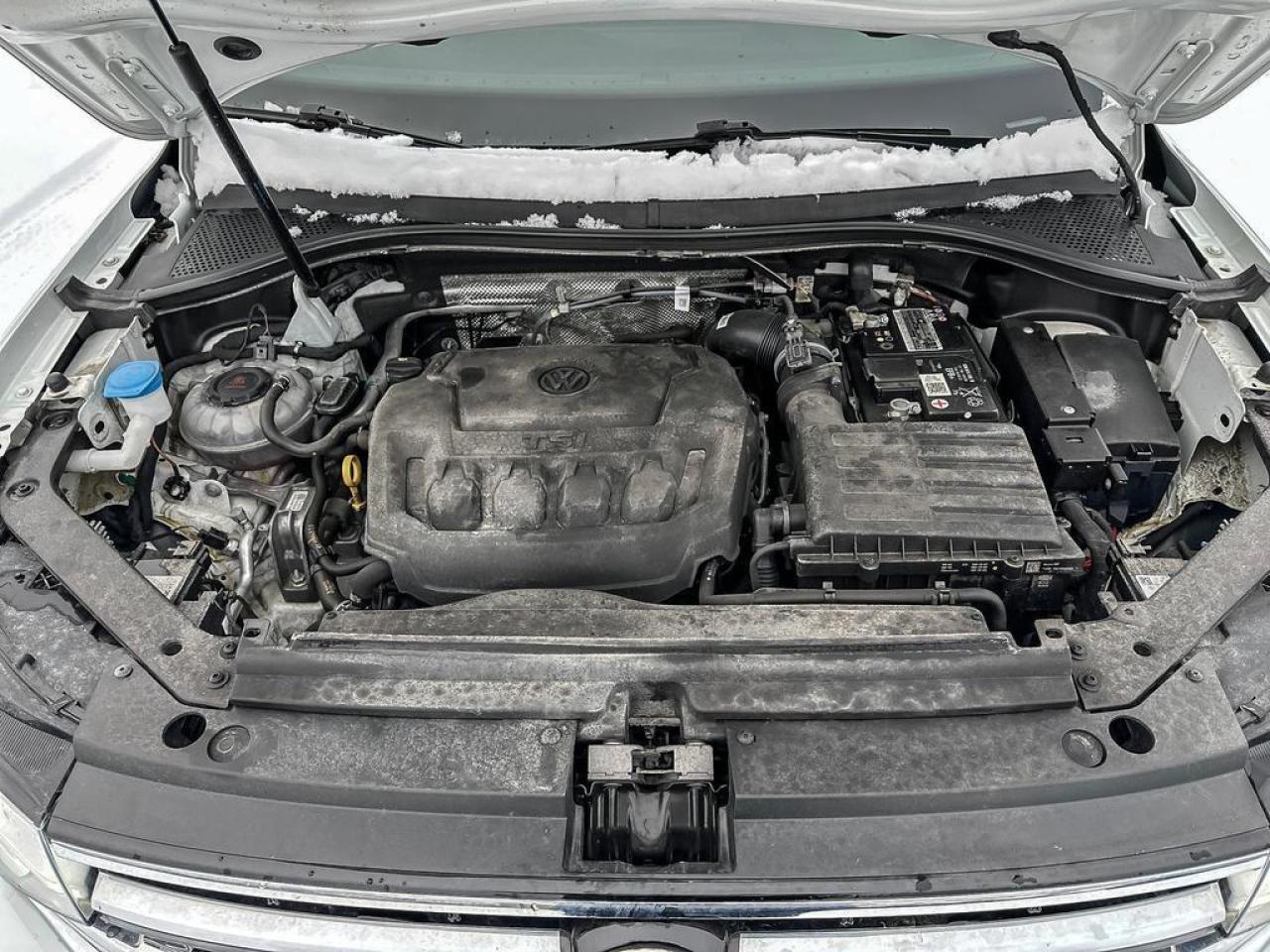 2022 Volkswagen Tiguan 4Motion Photo