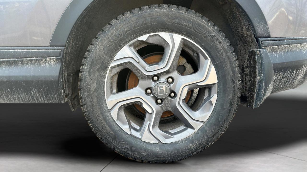 2019 Honda CR-V EX Photo