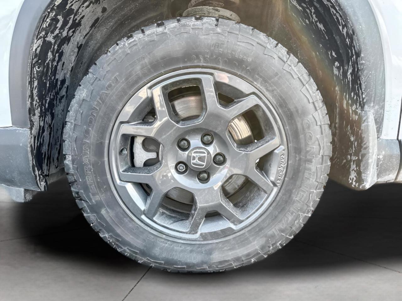2023 Honda Pilot TrailSport Photo