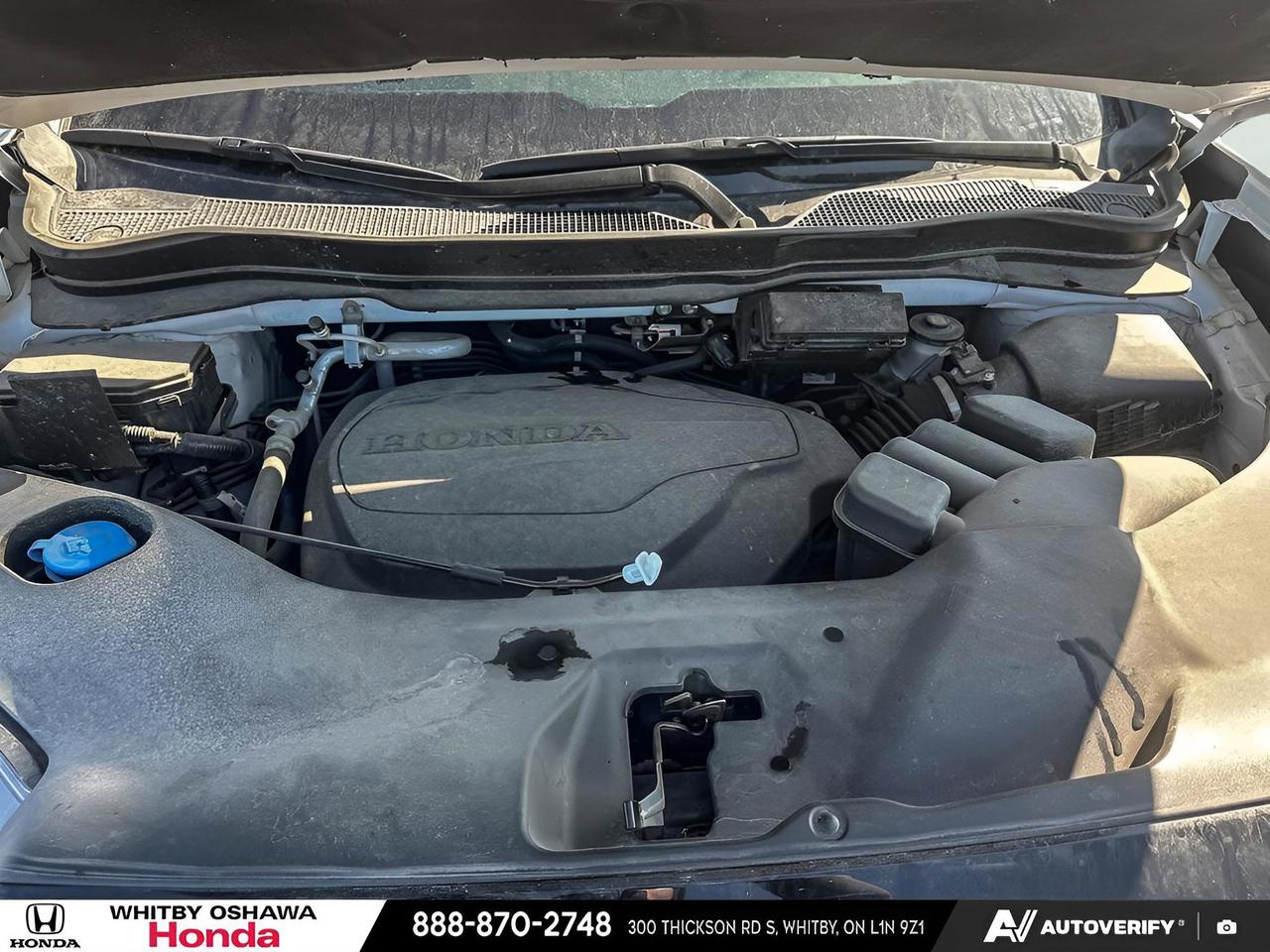 2025 Honda Ridgeline TrailSport Photo