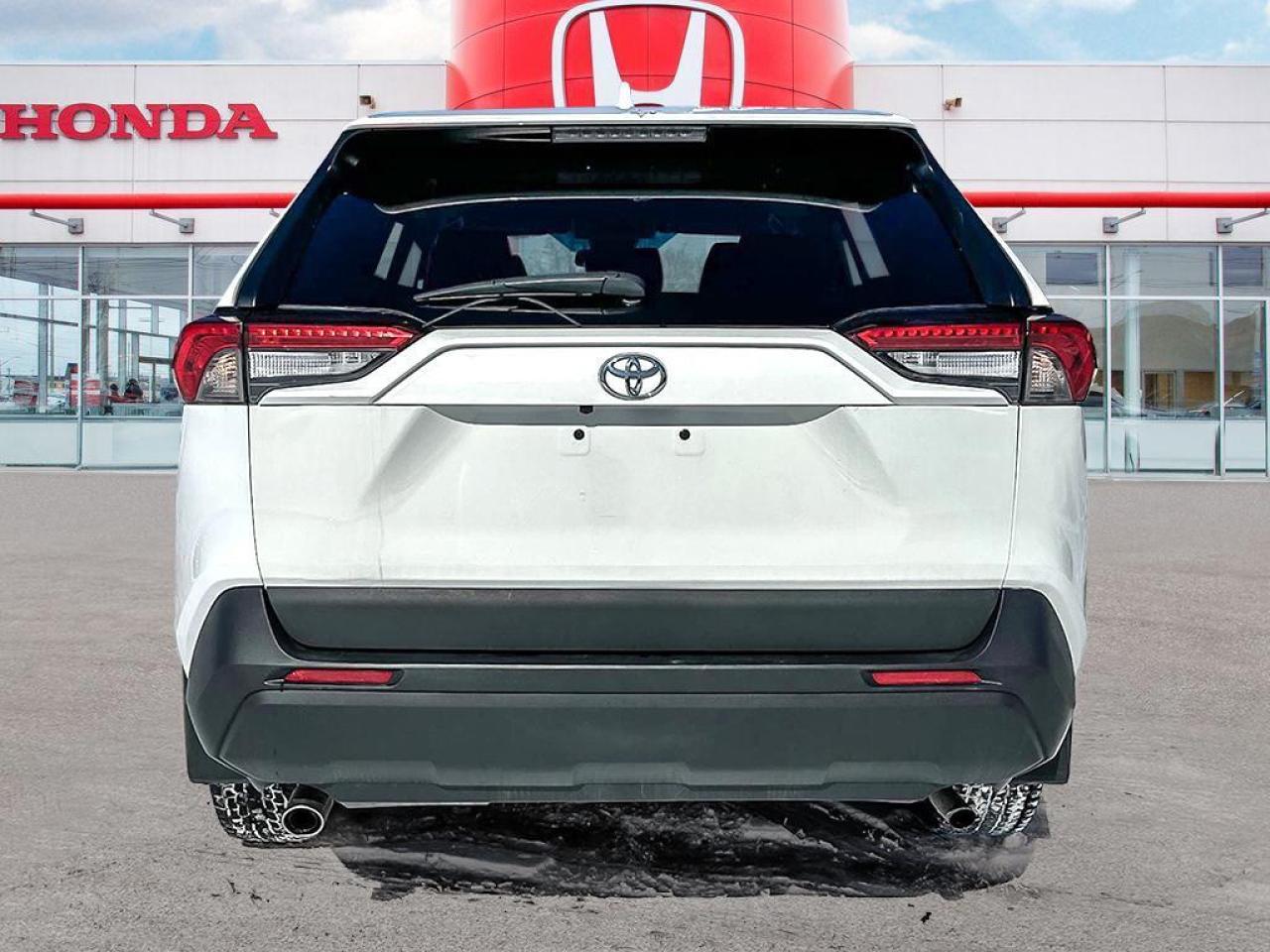 2024 Toyota RAV4 LE Photo