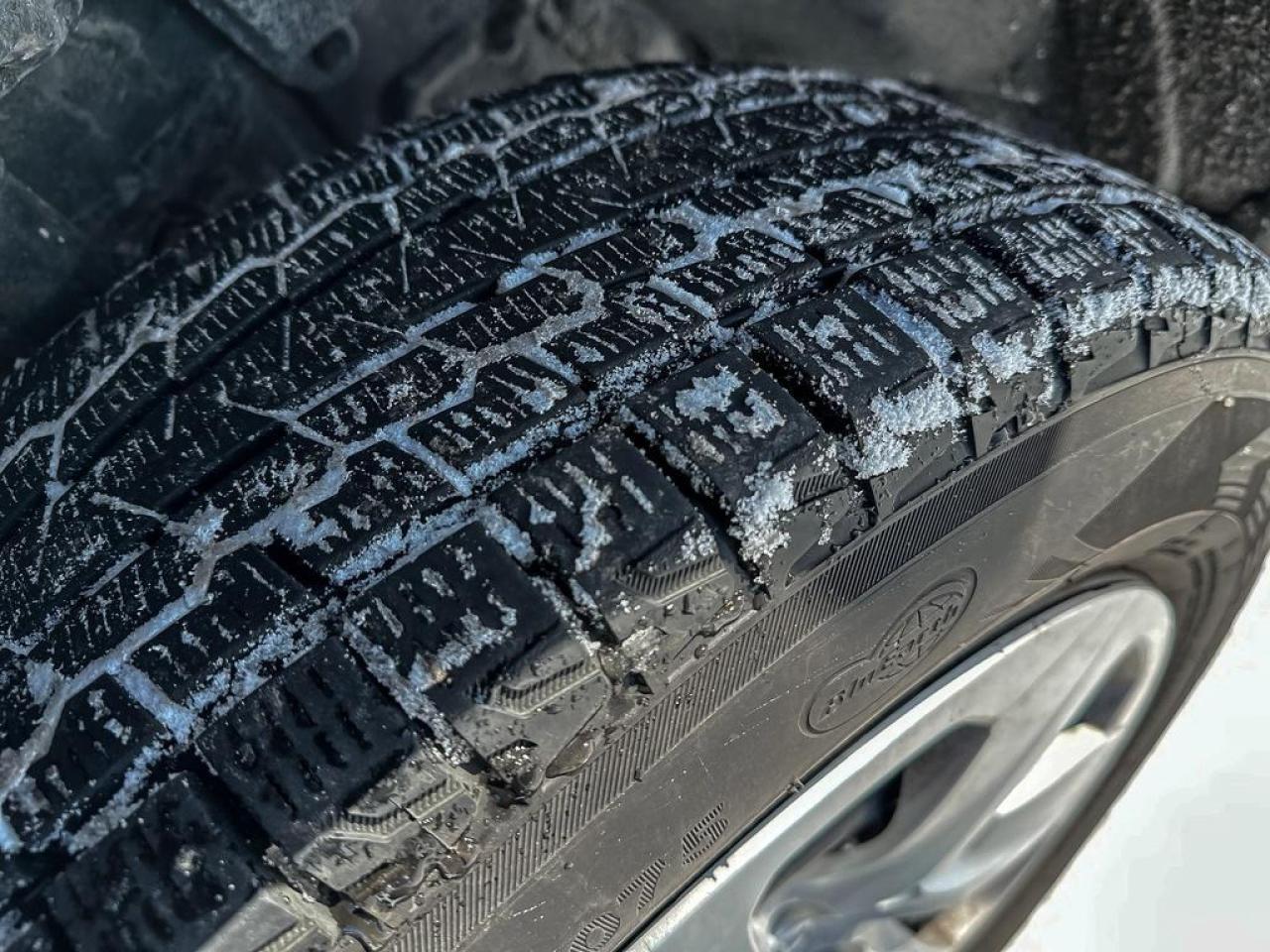 2024 Toyota RAV4 LE Photo