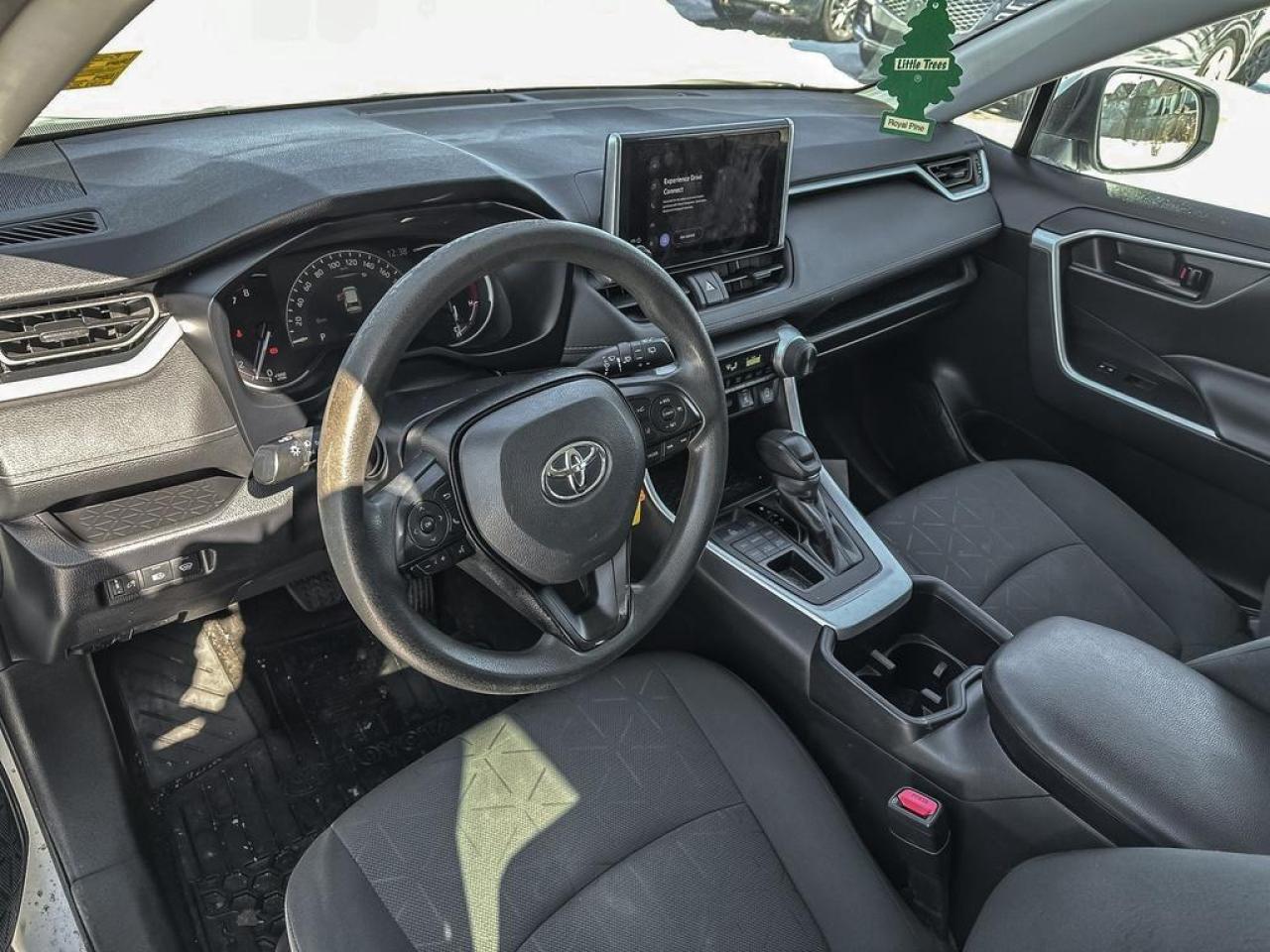 2024 Toyota RAV4 LE Photo