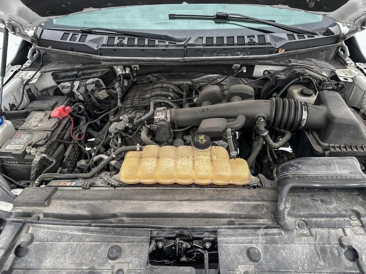 2018 Ford F-150 XLT Photo