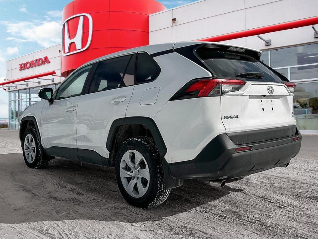 2024 Toyota RAV4 LE Photo