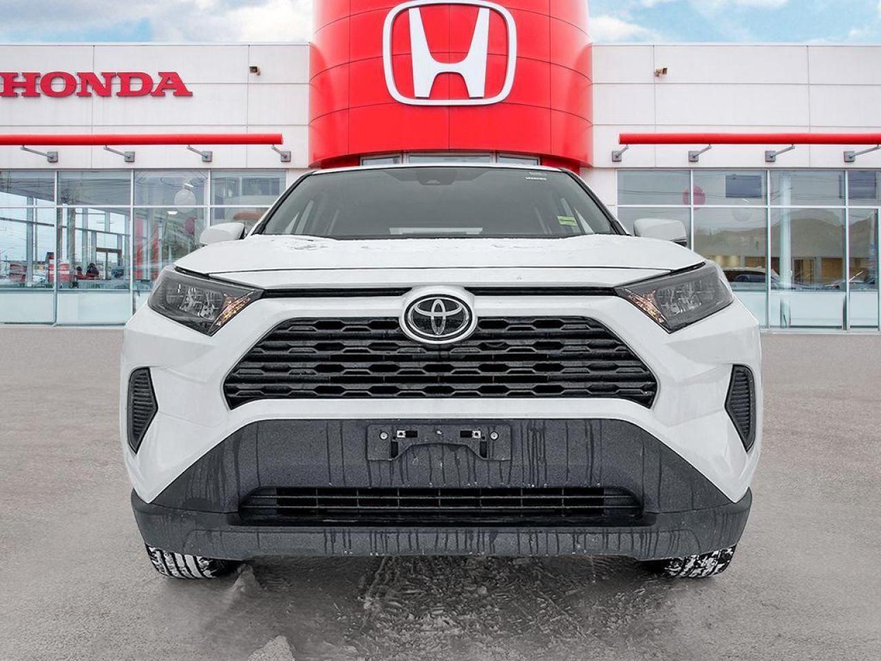 2024 Toyota RAV4 LE Photo