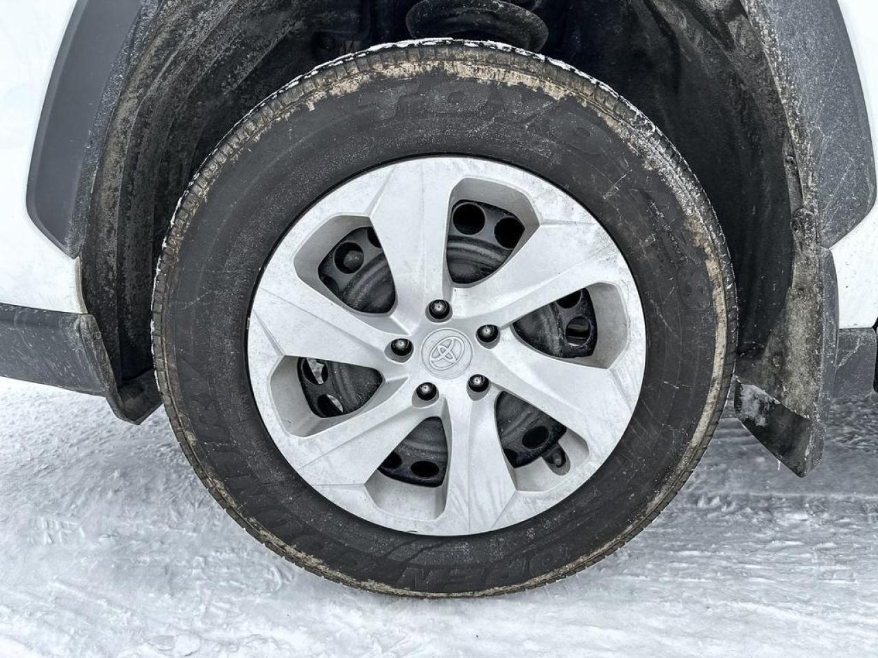 2024 Toyota RAV4 LE Photo