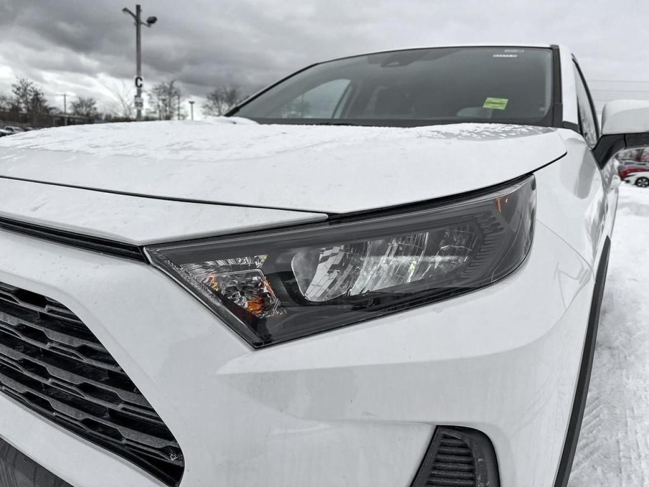 2024 Toyota RAV4 LE Photo