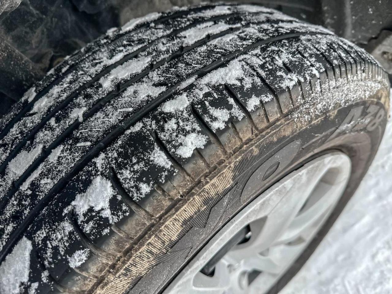 2024 Toyota RAV4 LE Photo