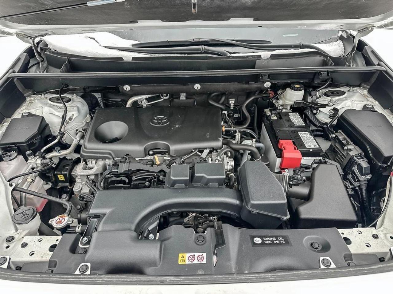 2024 Toyota RAV4 LE Photo