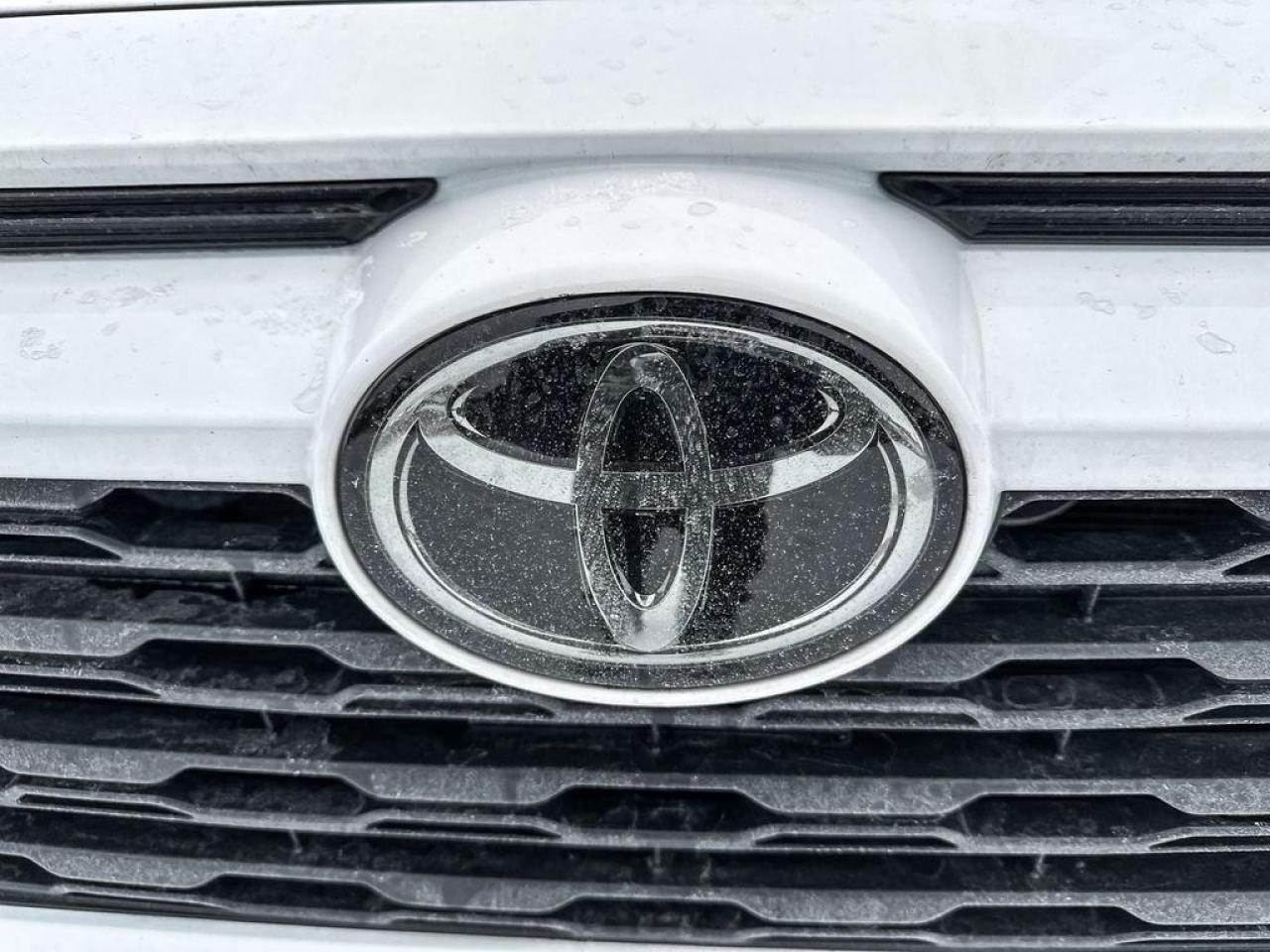 2024 Toyota RAV4 LE Photo