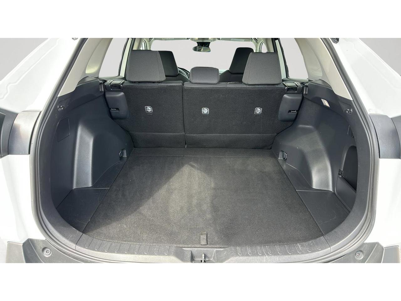 2024 Toyota RAV4 LE Photo