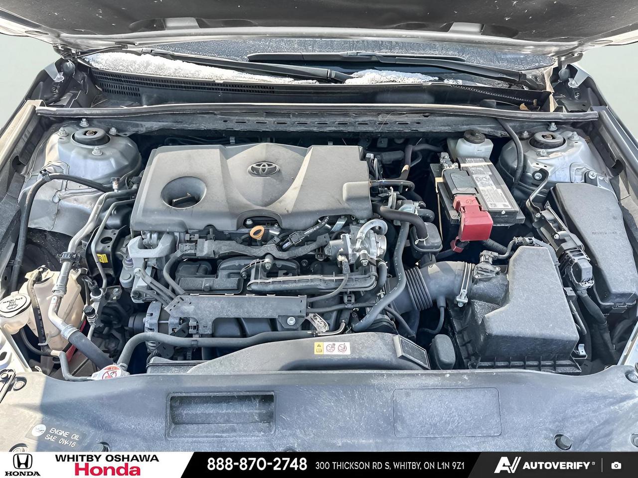 2024 Toyota Camry PLUS Photo