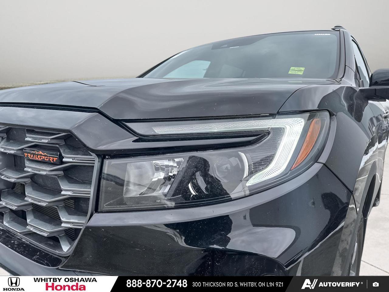 2023 Honda Passport TRAILSPORT Photo