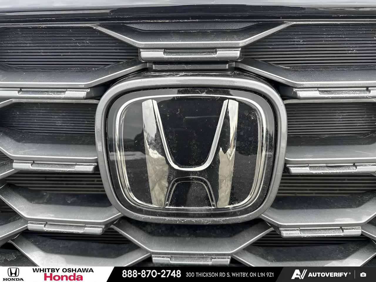 2023 Honda Passport TRAILSPORT Photo