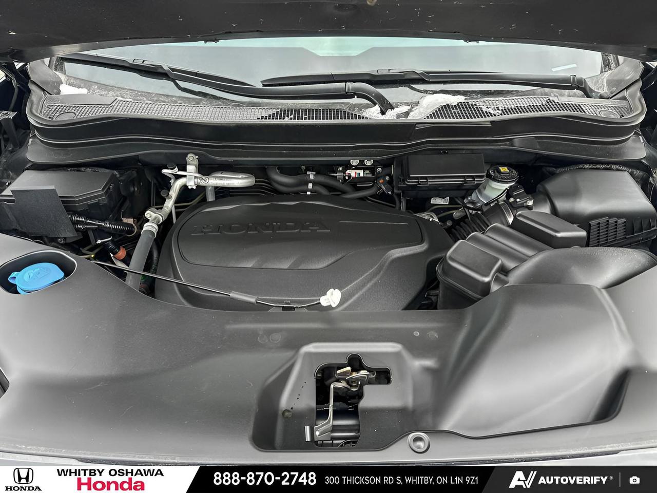2023 Honda Passport TRAILSPORT Photo