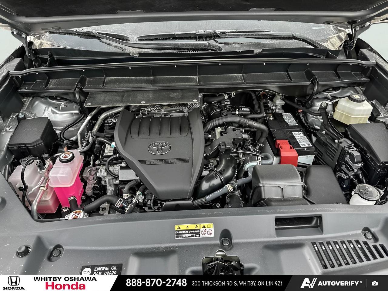 2024 Toyota Highlander XLE Photo