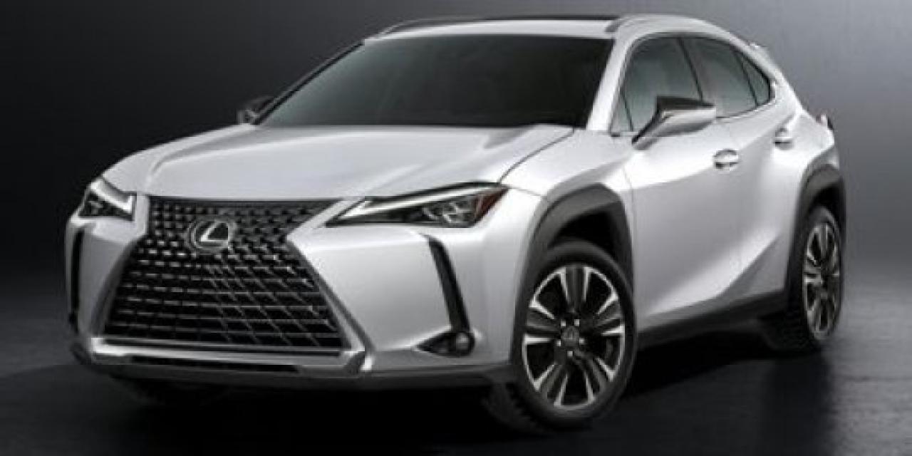 2020 Lexus UX UX 250H Photo