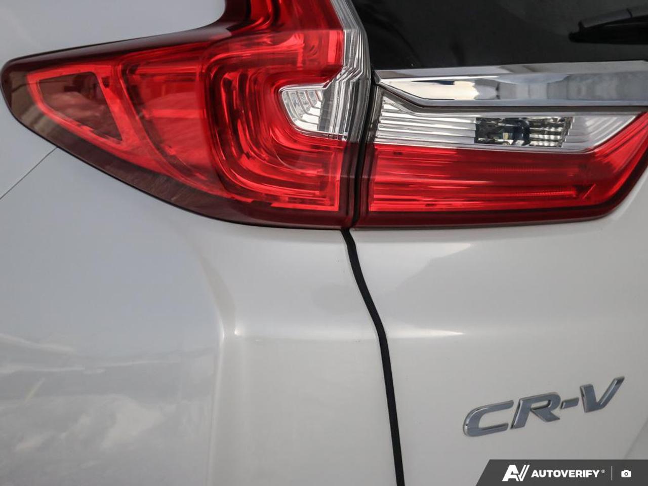 2019 Honda CR-V UNKNOWN Photo