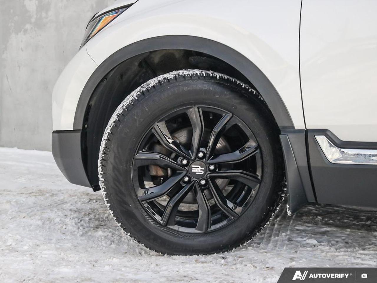 2019 Honda CR-V UNKNOWN Photo