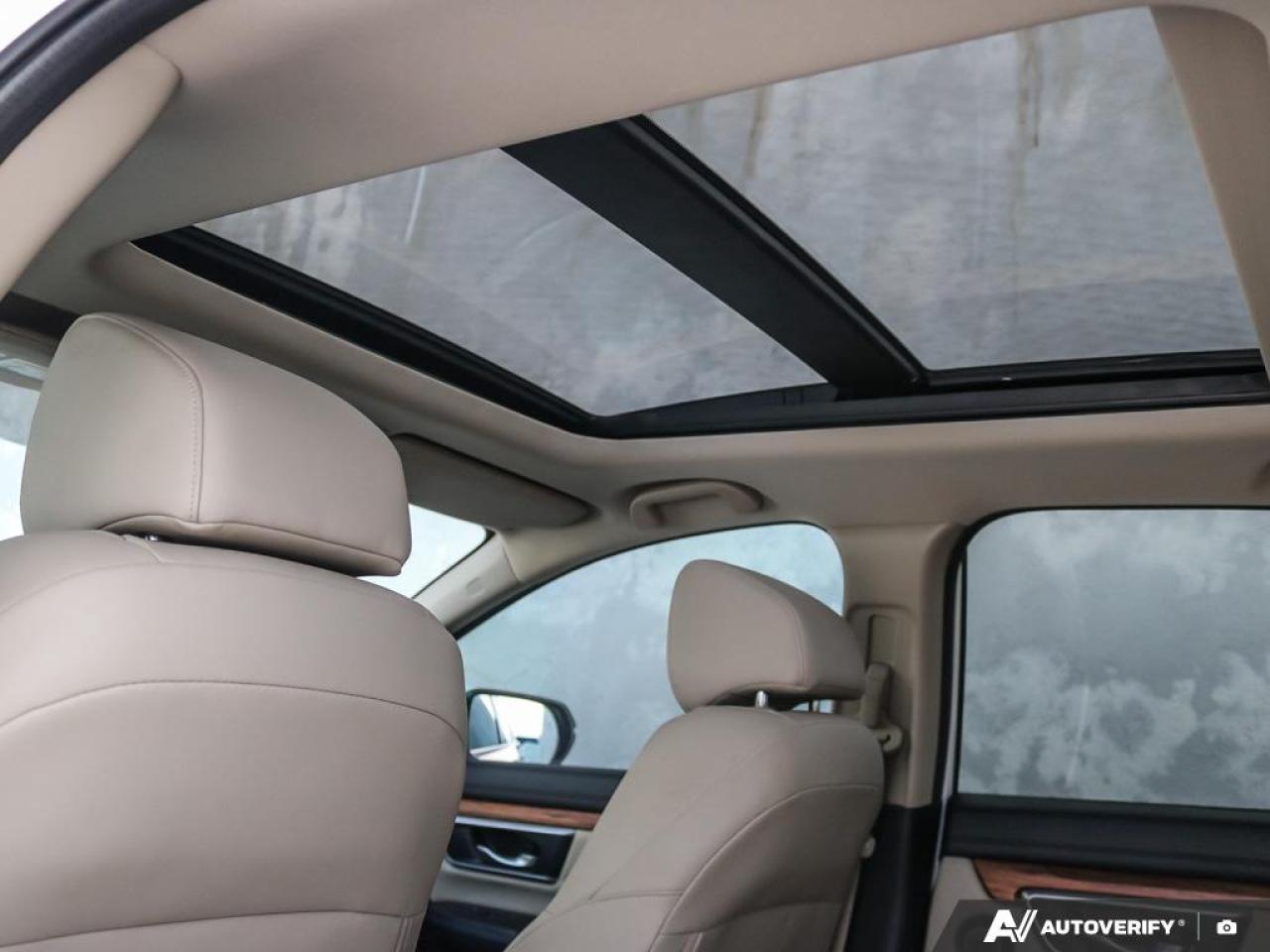 2019 Honda CR-V UNKNOWN Photo