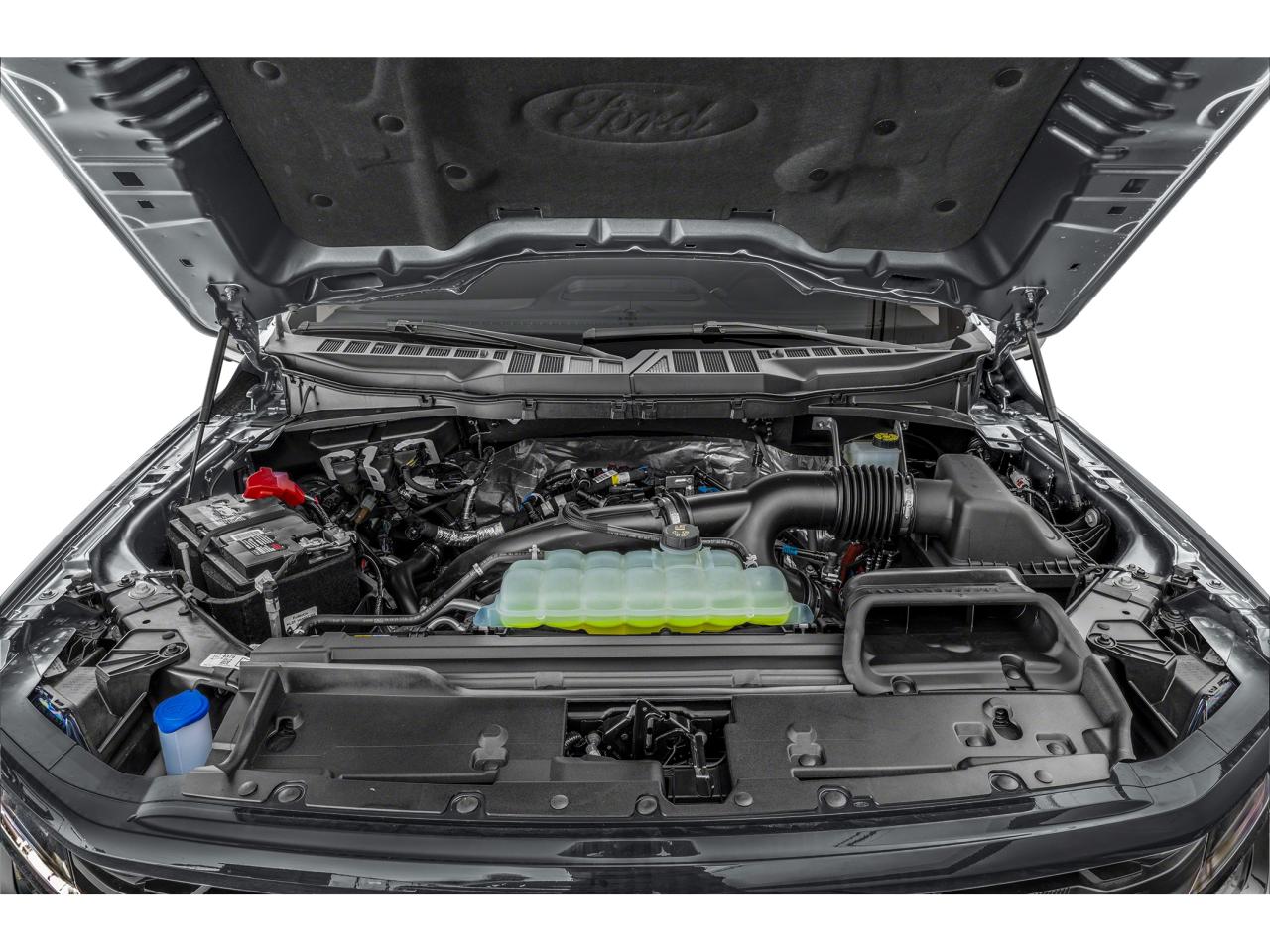 2026 Ford F-150 XLT Photo