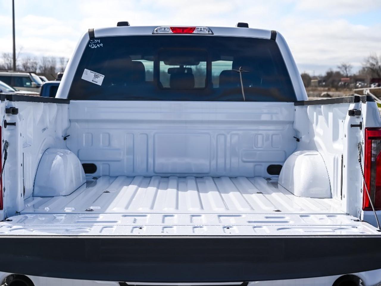 2026 Ford F-150 Tremor Photo