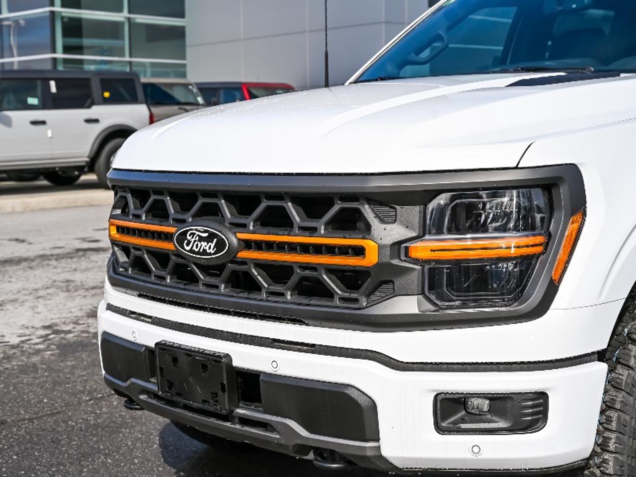 2026 Ford F-150 Tremor Photo