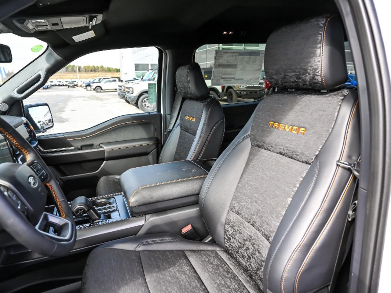 2026 Ford F-150 Tremor Photo