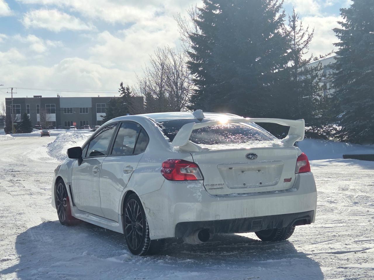 2019 Subaru WRX STI Sport-tech Photo