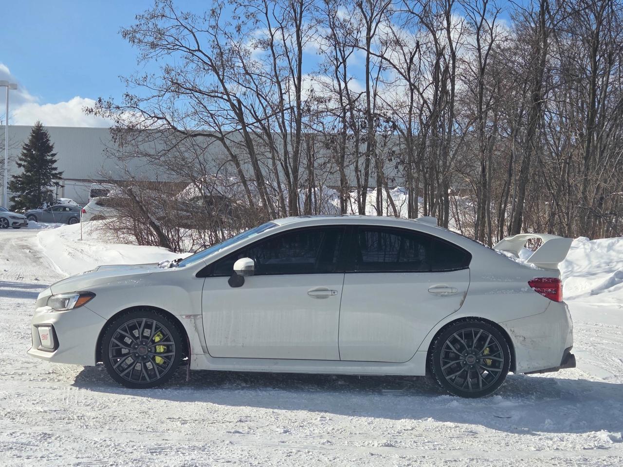 2019 Subaru WRX STI Sport-tech Photo