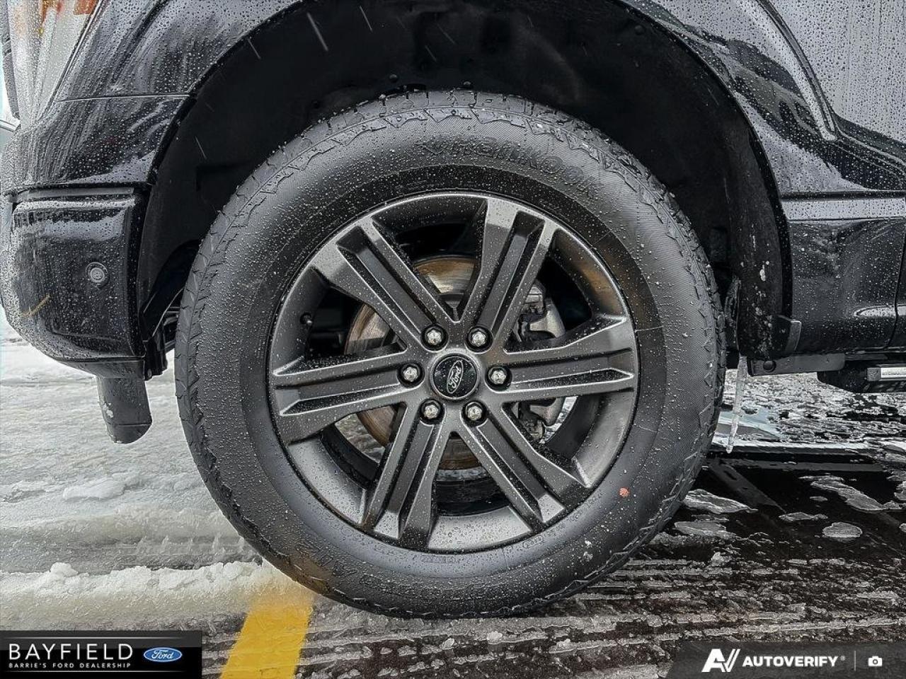 2021 Ford F-150  Photo