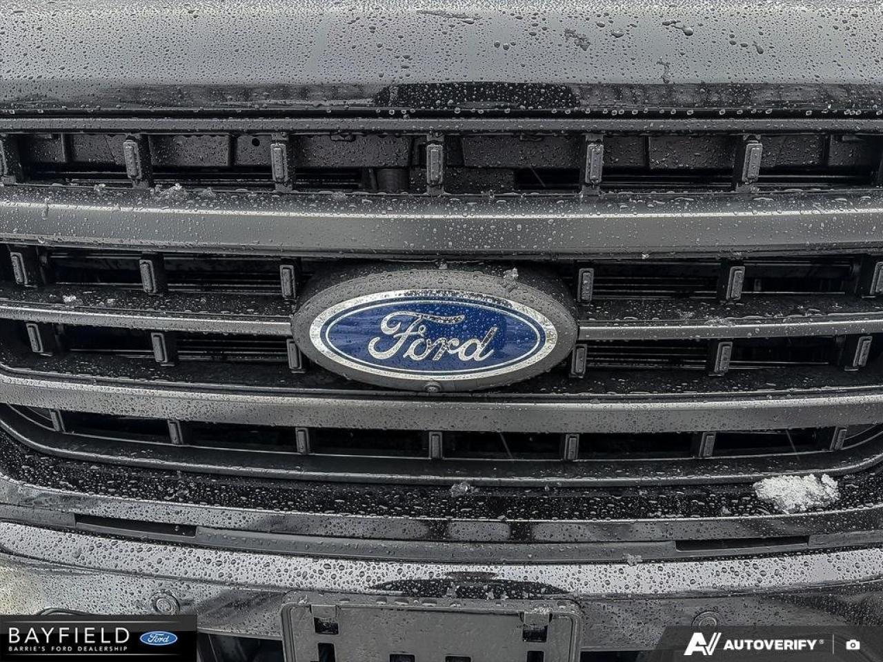 2021 Ford F-150  Photo