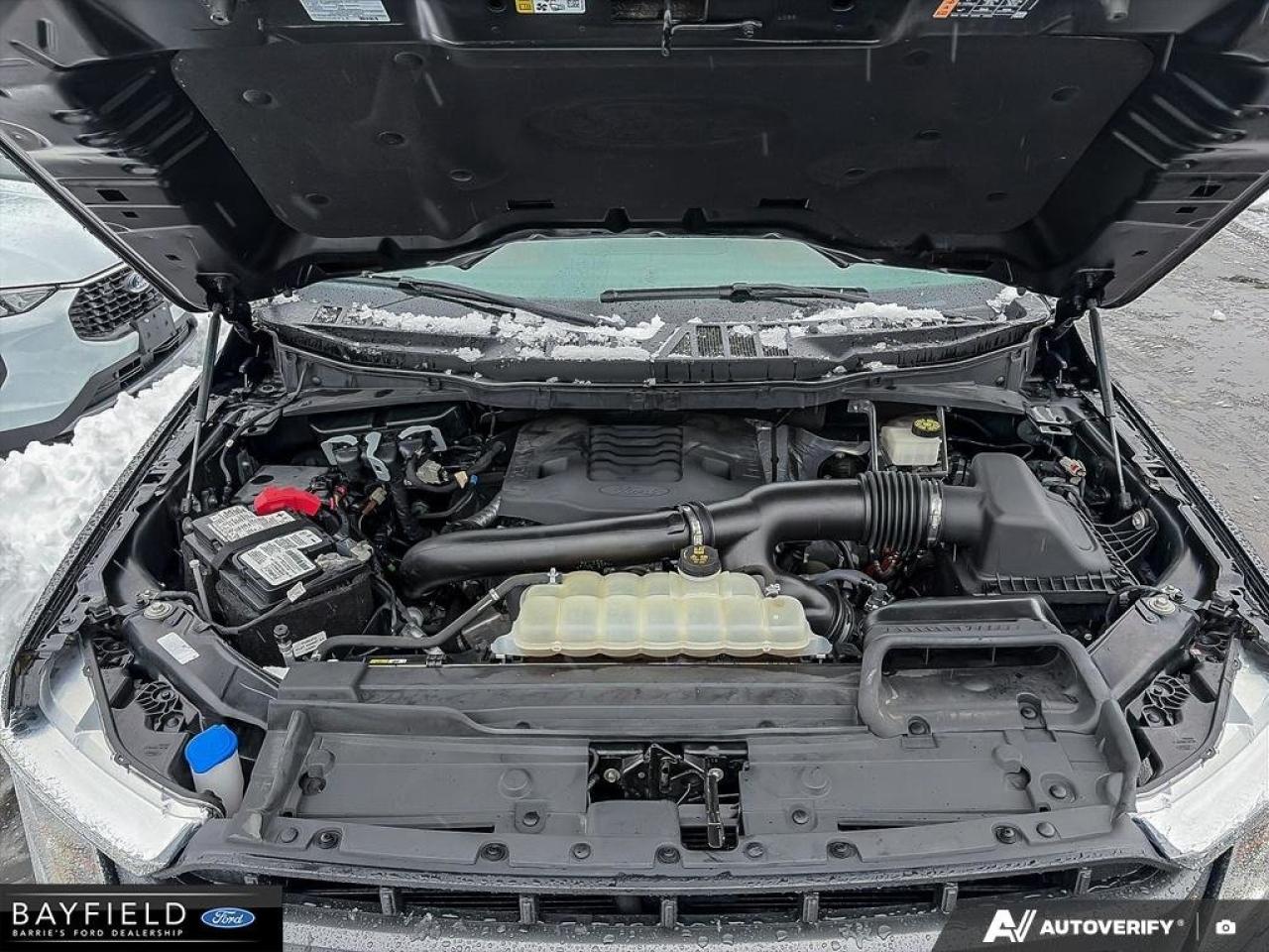 2021 Ford F-150  Photo