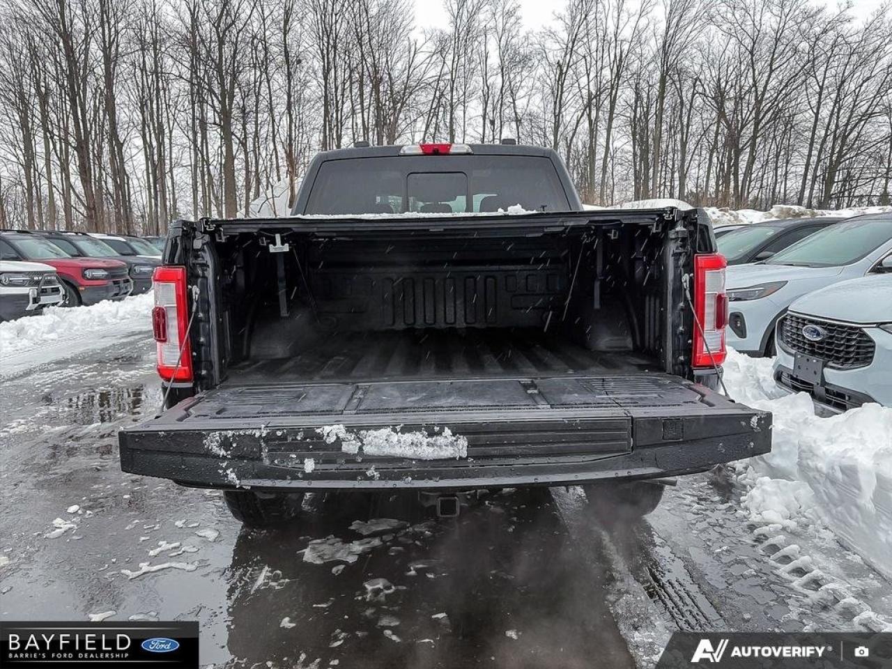 2021 Ford F-150  Photo