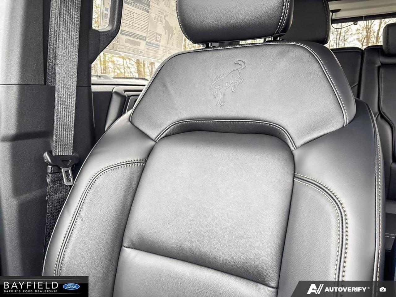 2026 Ford Bronco Badlands Photo