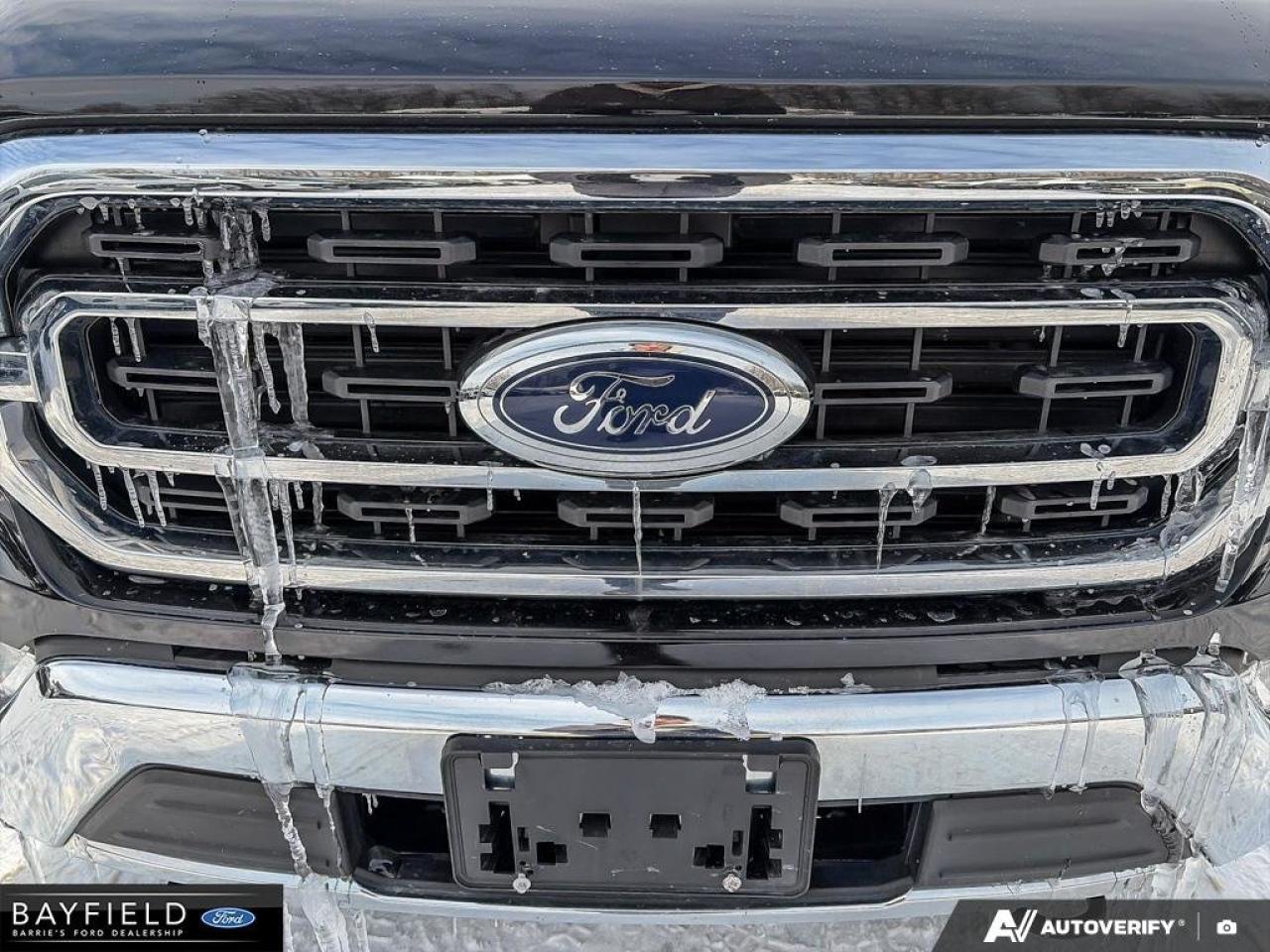 2022 Ford F-150  Photo