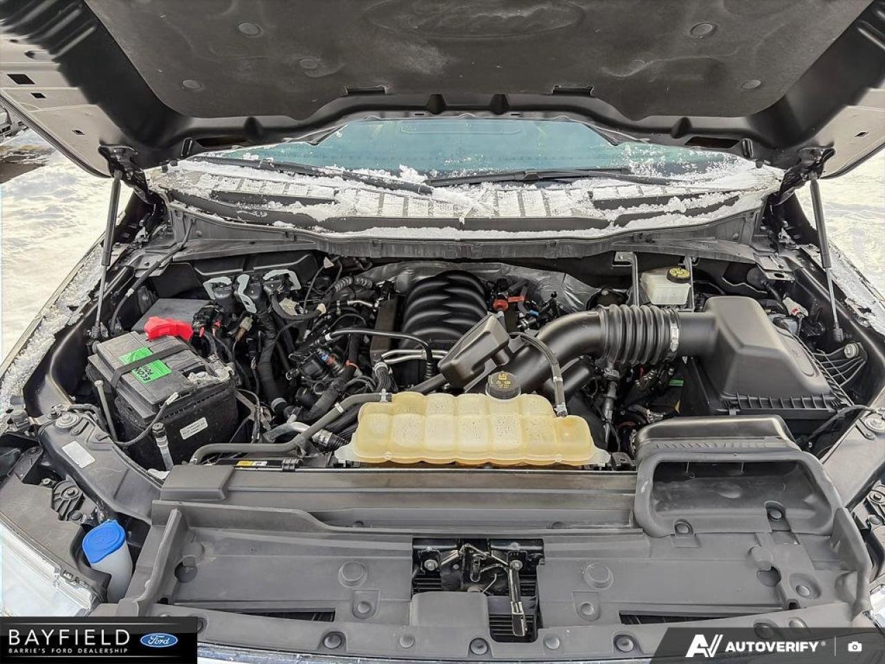 2022 Ford F-150  Photo