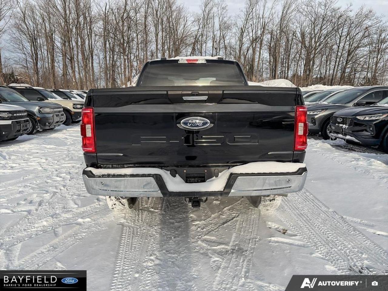 2022 Ford F-150  Photo