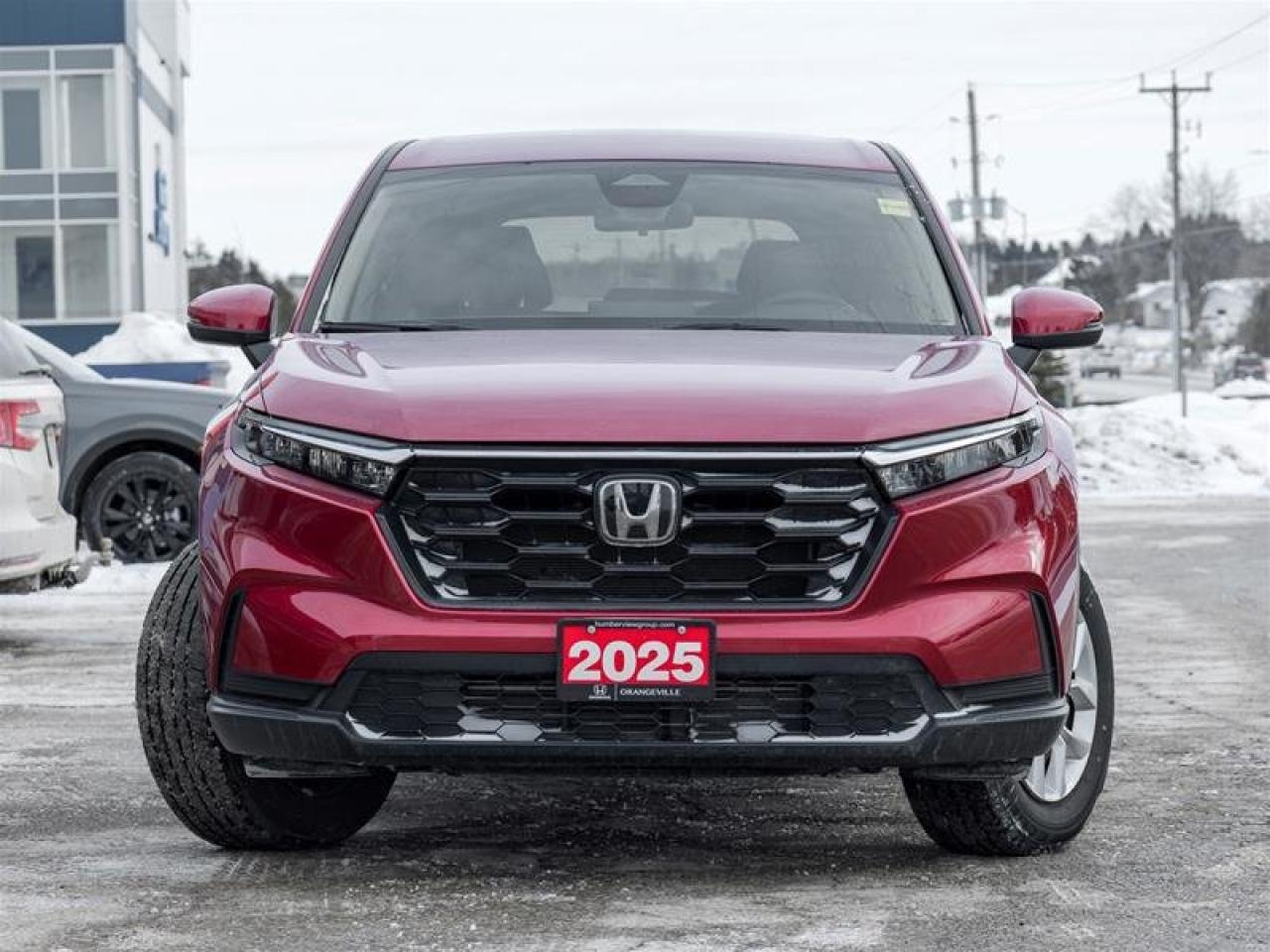 2025 Honda CR-V LX Photo